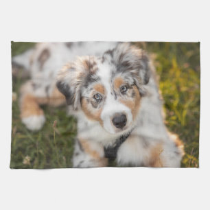 Niedliche Kleintiere Australian Shepherd Puppy Geschirrtuch