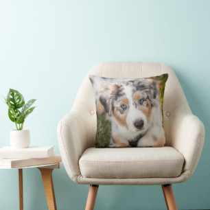 Niedliche Kleintiere   Australian Shepherd Puppy Kissen