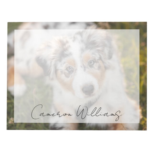 Niedliche Kleintiere | Australian Shepherd Puppy Notizblock (Vorderseite)
