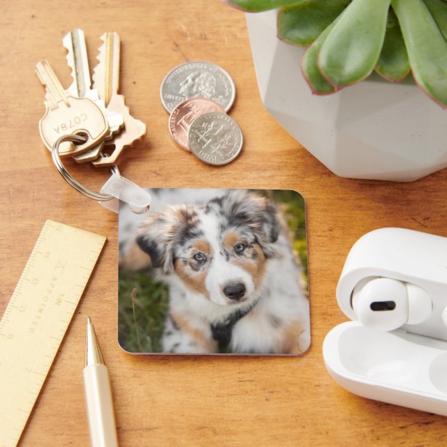 Niedliche Kleintiere | Australian Shepherd Puppy Schlüsselanhänger (Schreibtisch)