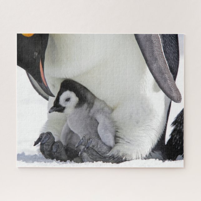 Niedliche Kleintiere | Babemann Penguin (Horizontal)