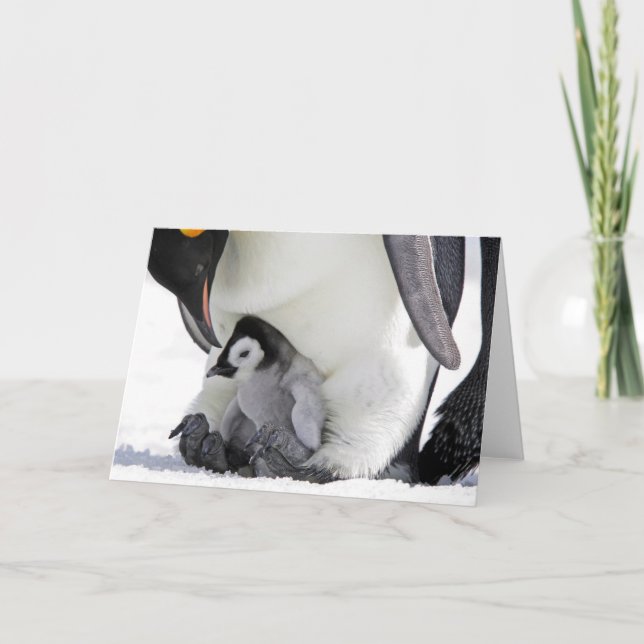 Niedliche Kleintiere | Babemann Penguin Karte (Vorderseite)