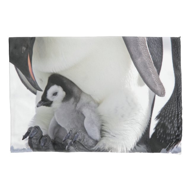 Niedliche Kleintiere | Babemann Penguin Kissenbezug (Vorderseite)