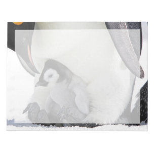 Niedliche Kleintiere Babemann Penguin Notizblock