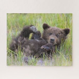 Niedliche Kleintiere   Baby Brown Bear Cube