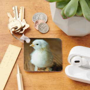 Niedliche Kleintiere Baby Chick Schlüsselanhänger