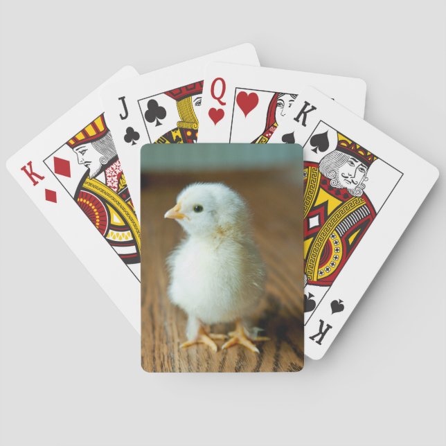 Niedliche Kleintiere | Baby Chick Spielkarten (Rückseite)