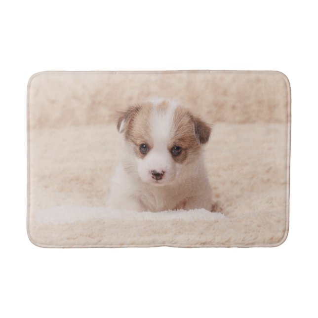 Niedliche Kleintiere | Baby Corgi Badematte (Vorderseite)