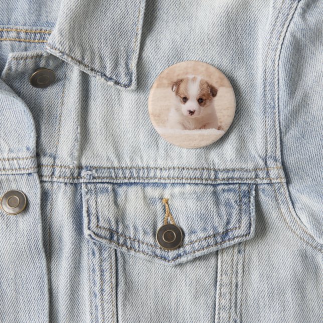Niedliche Kleintiere | Baby Corgi Button (Beispiel)