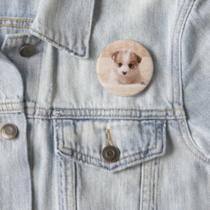 Niedliche Kleintiere Baby Corgi Button