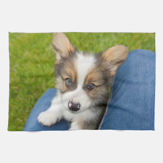 Niedliche Kleintiere | Baby Corgi in My Lap Geschirrtuch (Horizontal)