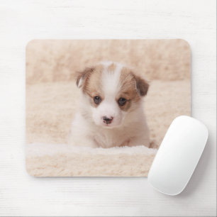 Niedliche Kleintiere   Baby Corgi Mousepad
