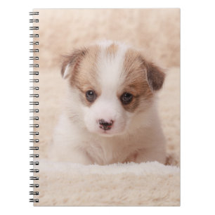 Niedliche Kleintiere Baby Corgi Notizblock