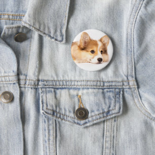 Niedliche Kleintiere Baby Corgi Puppy Portrait Button