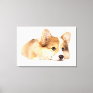 Niedliche Kleintiere Baby Corgi Puppy Portrait Leinwanddruck