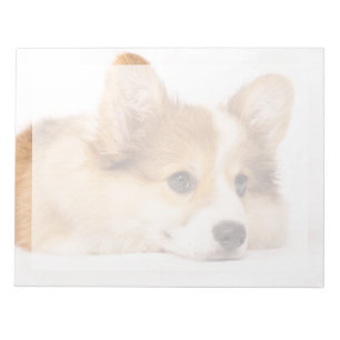 Niedliche Kleintiere   Baby Corgi Puppy Portrait Notizblock