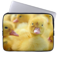 Niedliche Kleintiere | Baby Duck Group