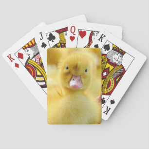 Niedliche Kleintiere   Baby Duck Group Spielkarten