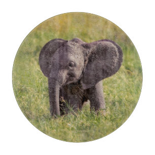 Niedliche Kleintiere Baby Elephant Kenya Africa Schneidebrett