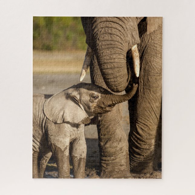 Niedliche Kleintiere | Baby Elephant & Mama (Vertikal)