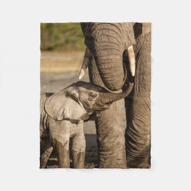 Niedliche Kleintiere | Baby Elephant & Mama Fleecedecke (Vorderseite)