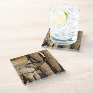 Niedliche Kleintiere   Baby Elephant & Mama Glasuntersetzer