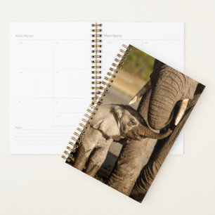 Niedliche Kleintiere Baby Elephant & Mama Planer