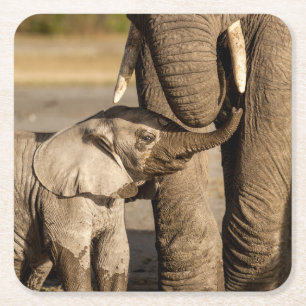 Niedliche Kleintiere Baby Elephant & Mama Rechteckiger Pappuntersetzer