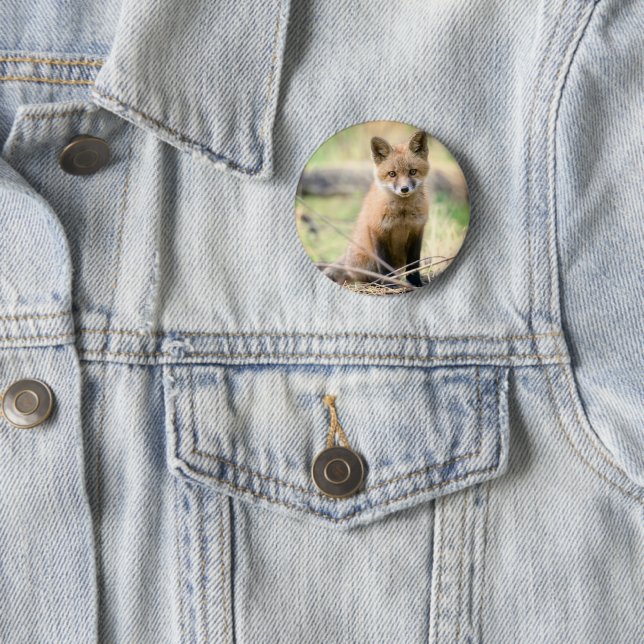 Niedliche Kleintiere | Baby Fox Button (Beispiel)