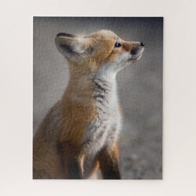 Niedliche Kleintiere | Baby Fox Portrait (Vertikal)