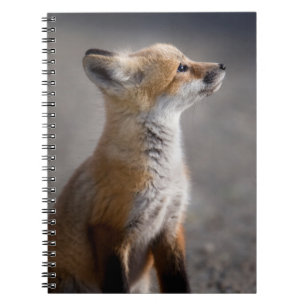 Niedliche Kleintiere   Baby Fox Portrait Notizblock