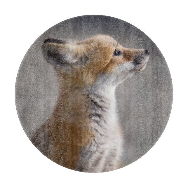 Niedliche Kleintiere | Baby Fox Portrait Schneidebrett (Vorderseite)