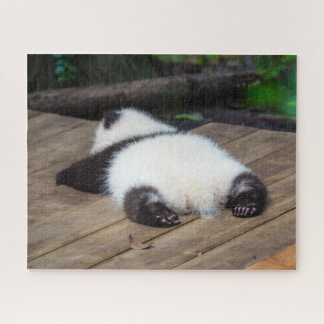 Niedliche Kleintiere | Baby Giant Panda Schlafen (Horizontal)