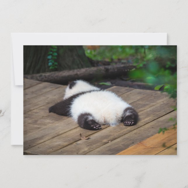 Niedliche Kleintiere | Baby Giant Panda Schlafen Dankeskarte (Vorderseite)
