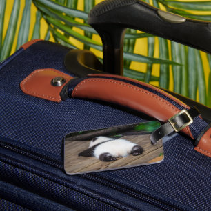 Niedliche Kleintiere Baby Giant Panda Schlafen Gepäckanhänger