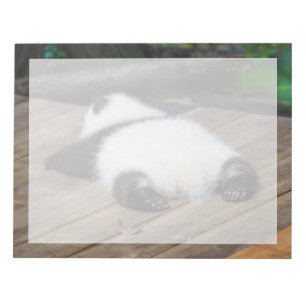 Niedliche Kleintiere Baby Giant Panda Schlafen Notizblock