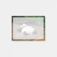 Niedliche Kleintiere | Baby Giant Panda Schlafen