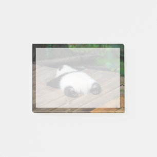Niedliche Kleintiere   Baby Giant Panda Schlafen Post-it Klebezettel