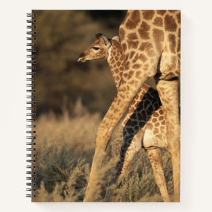 Niedliche Kleintiere Baby Giraffe & Parent Notizbuch