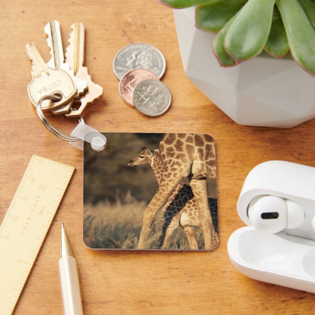 Niedliche Kleintiere | Baby Giraffe & Parent Schlüsselanhänger (Schreibtisch)