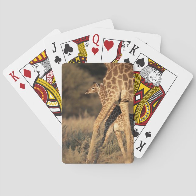 Niedliche Kleintiere | Baby Giraffe & Parent Spielkarten (Rückseite)