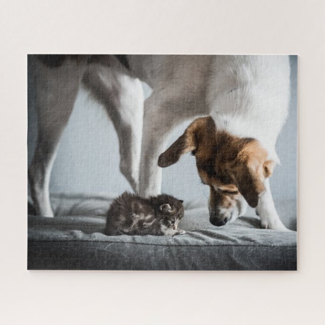 Niedliche Kleintiere | Baby Kitten & Dog (Horizontal)