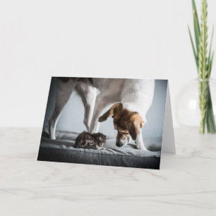 Niedliche Kleintiere Baby Kitten & Dog Karte