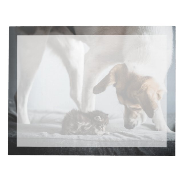 Niedliche Kleintiere | Baby Kitten & Dog Notizblock (Vorderseite)