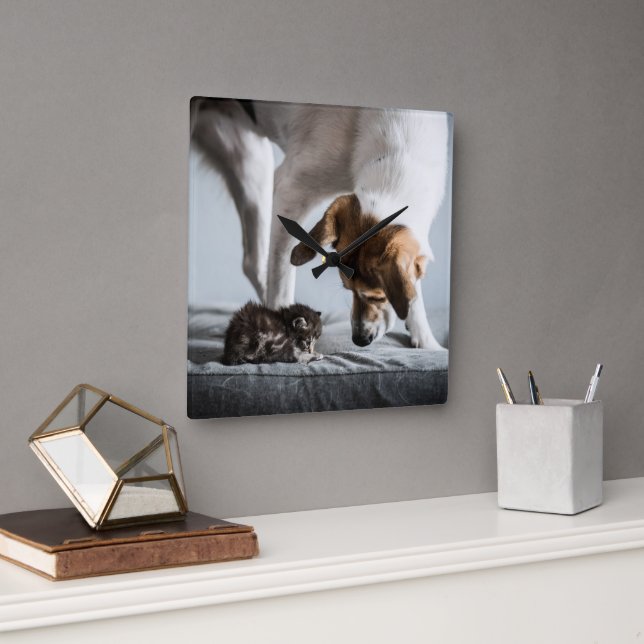 Niedliche Kleintiere | Baby Kitten & Dog Quadratische Wanduhr (Büro)