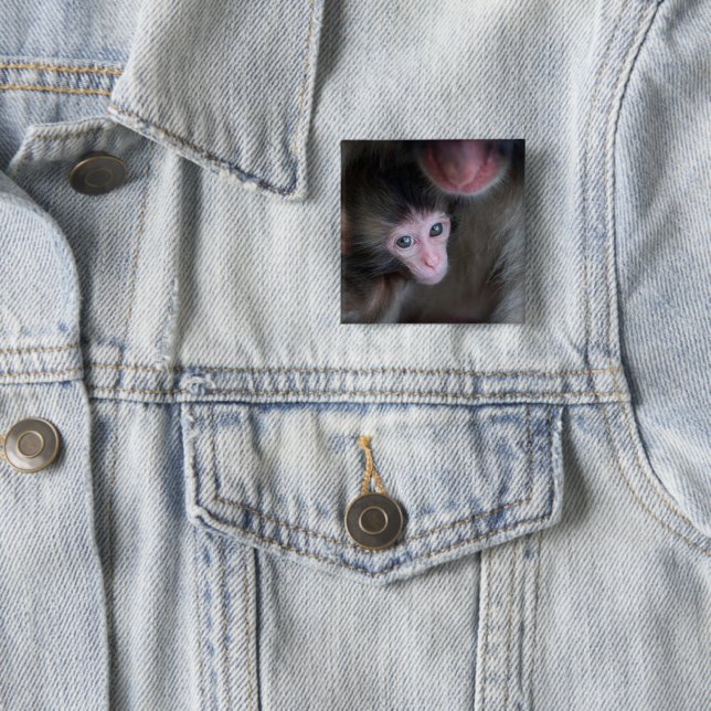 Niedliche Kleintiere | Baby Macaque Monkey & Mothe Button (Beispiel)