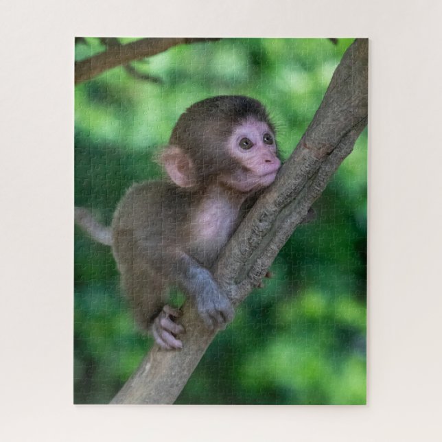 Niedliche Kleintiere | Baby Monkey (Vertikal)