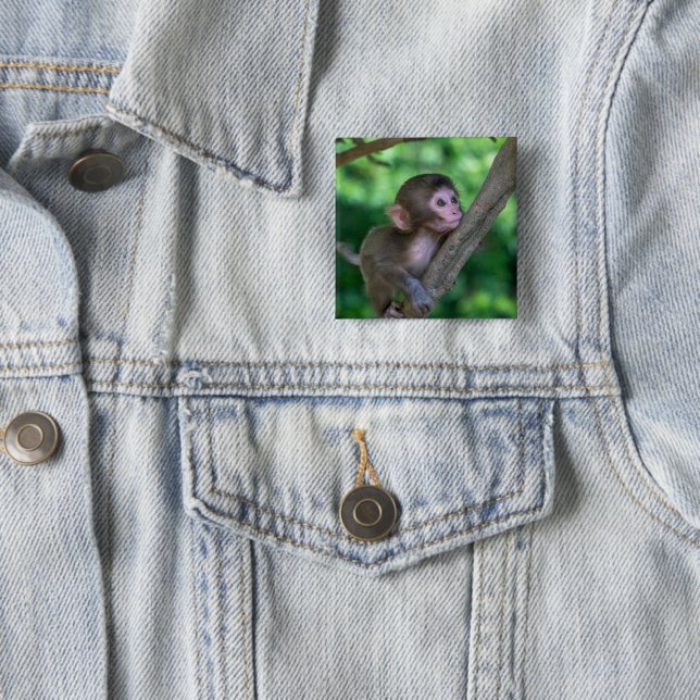 Niedliche Kleintiere | Baby Monkey Button (Beispiel)