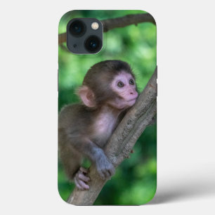 Niedliche Kleintiere Baby Monkey Case-Mate iPhone Hülle