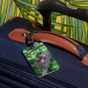 Niedliche Kleintiere   Baby Monkey Gepäckanhänger